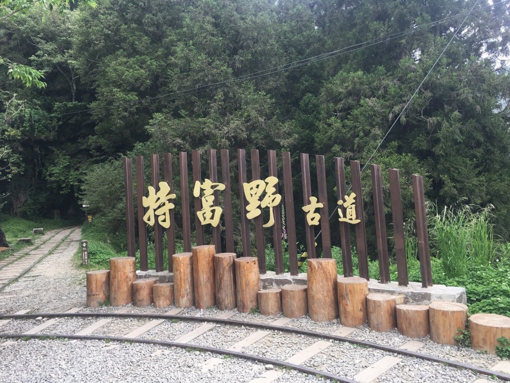 特富野封面圖