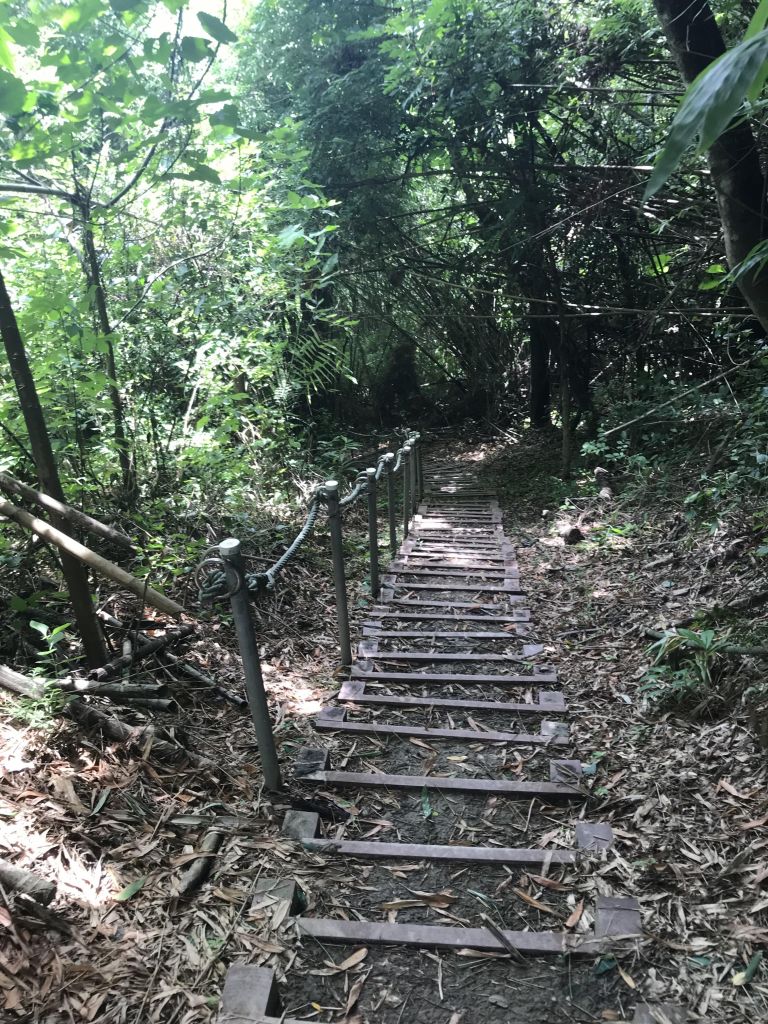 林安森林公園(大寮山)遊東源_389424