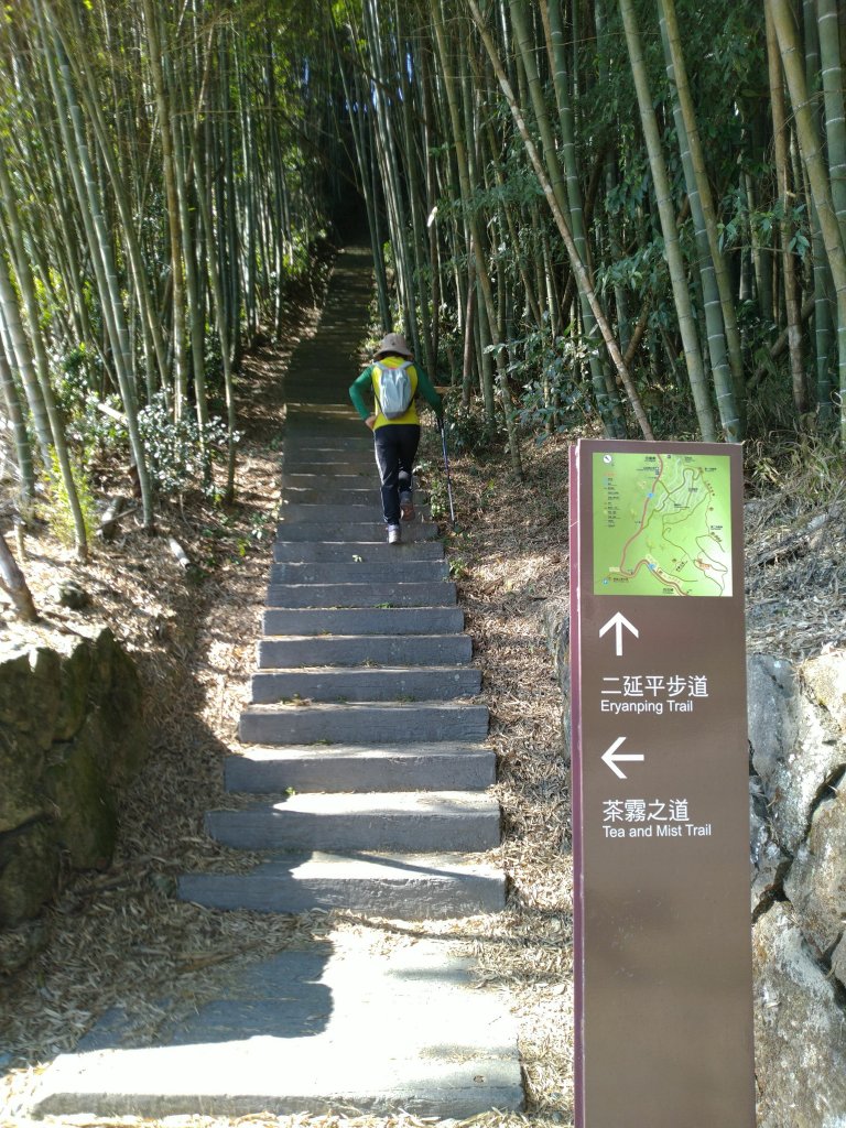 2022-12-25 隙頂之星-茶霧之道-二延平步道_1972495