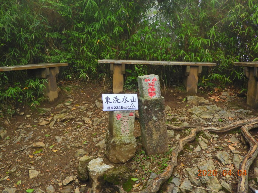 苗栗 泰安 東洗水山封面圖