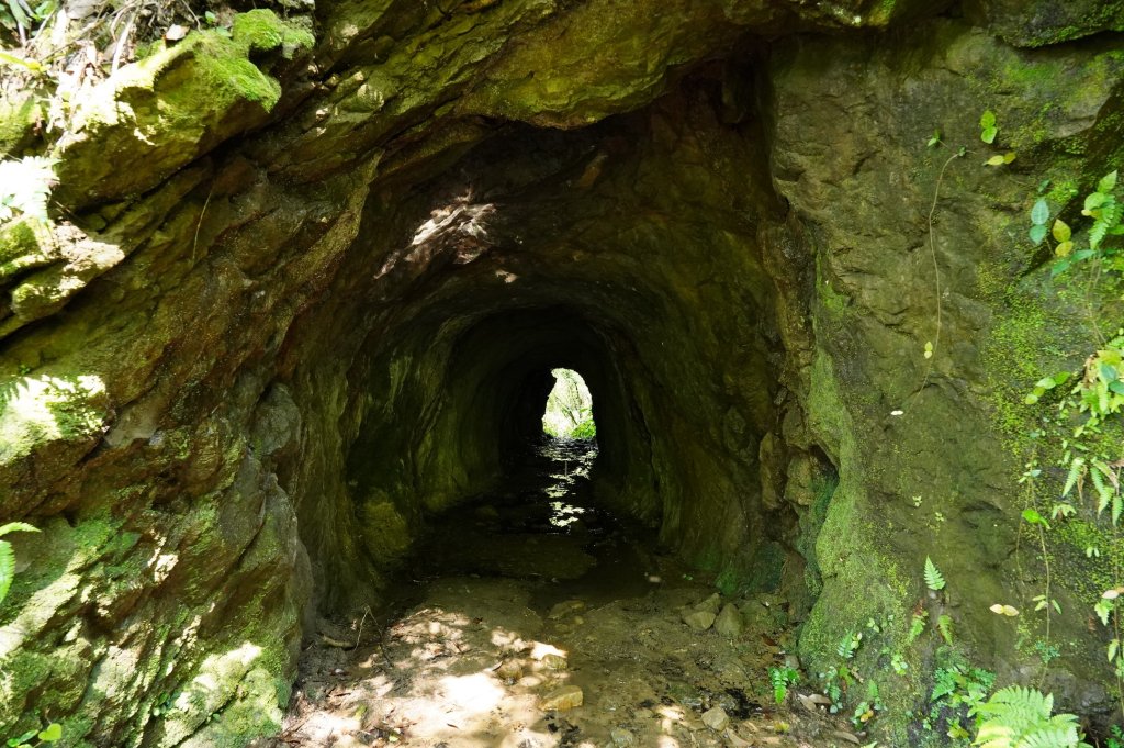 新北 平溪 薯榔尖、石筍尖、魔神仔洞_2772550