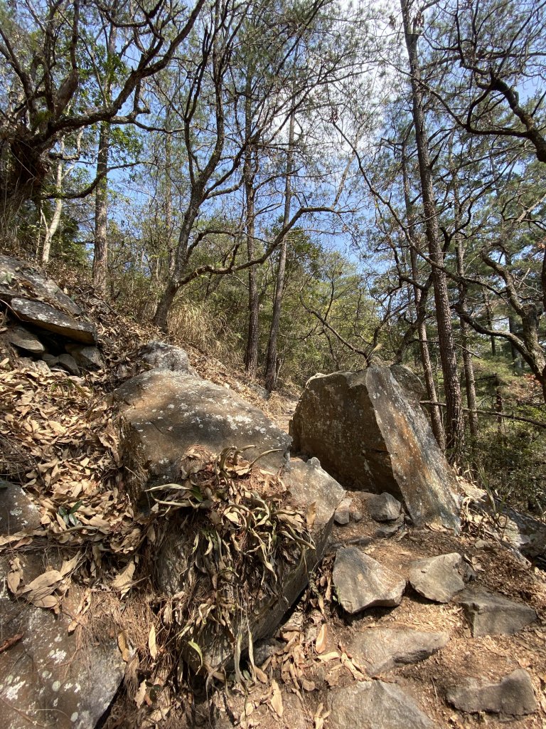 谷關七雄-東卯山原路線來回_2059283