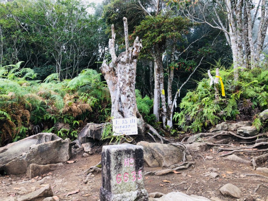 1090307上島山_870937