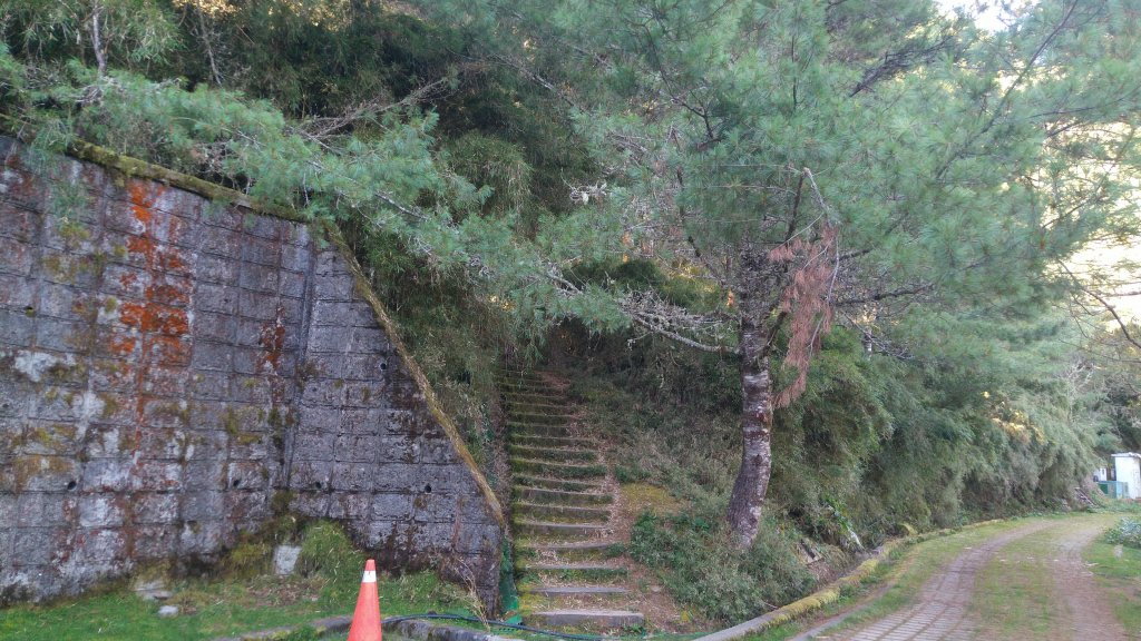 嘉義 阿里山 鹿林山、鹿林前山、真鹿林山、石水山_1487490