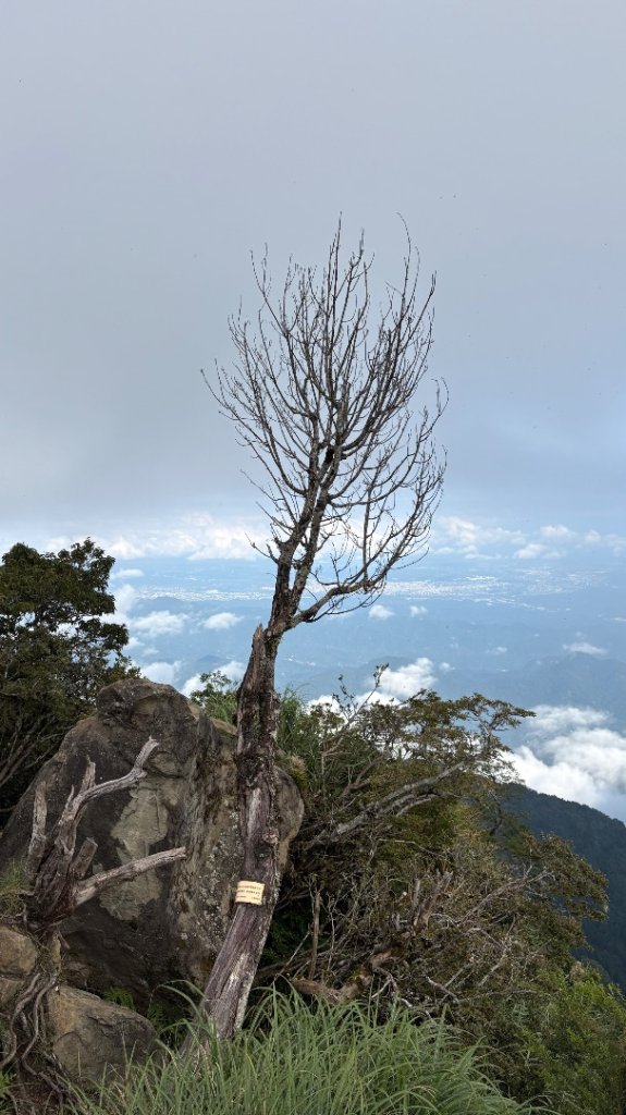 加里山_2855987