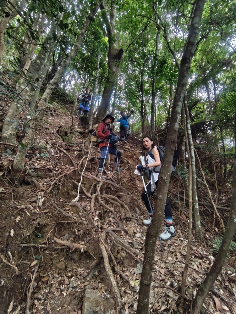 阿冷山 谷關第八雄_2877406