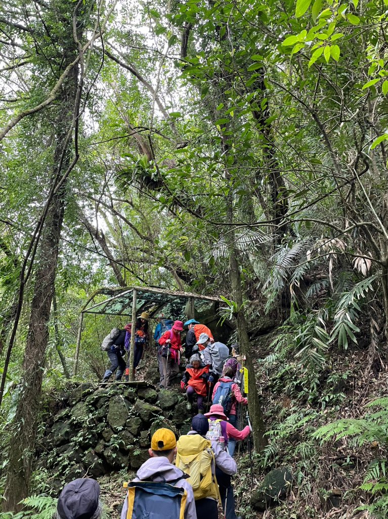 野人谷瀑布群_1974193