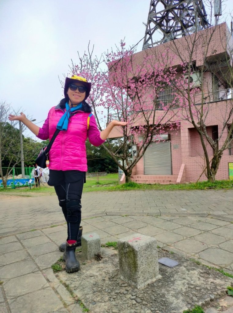 ［樹鶯縱走十連峰］（樹林山~鶯歌石山）（2024/2/24）_2442261