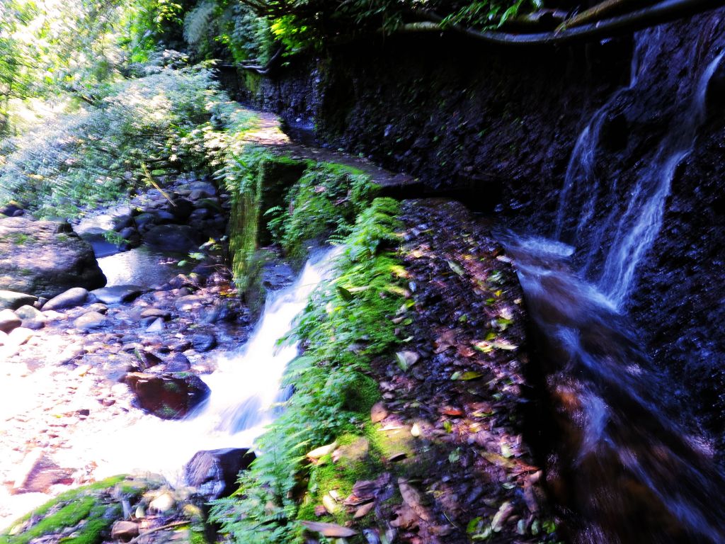 漫步大崎頭步道 一探台北市梯田美景_290919