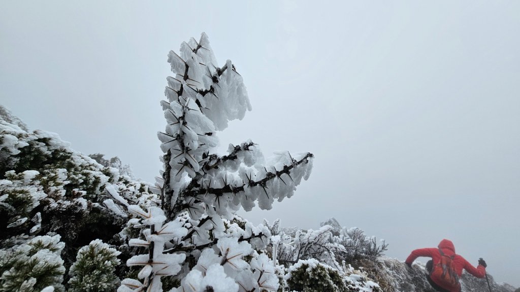 112.3.13～3.14 冰封奇萊主北_2074152