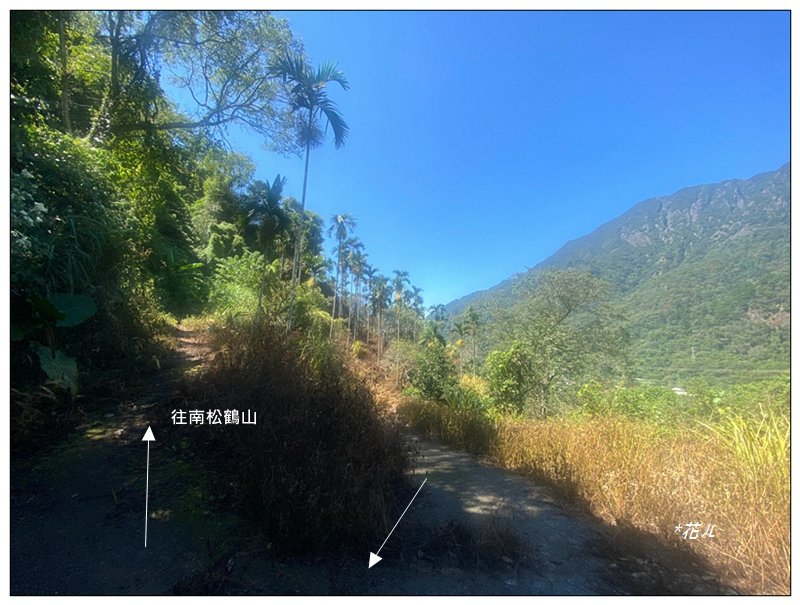 南松鶴山～八仙山 (台中 和平)_2926066