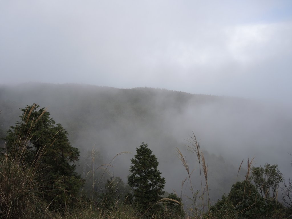 宜蘭太平山_翠峰湖&見晴懷古步道20141025_1961076