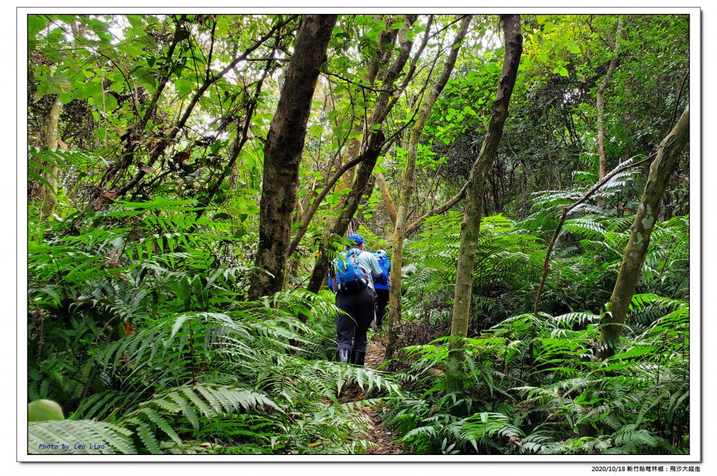 飛沙大縱走_1143728