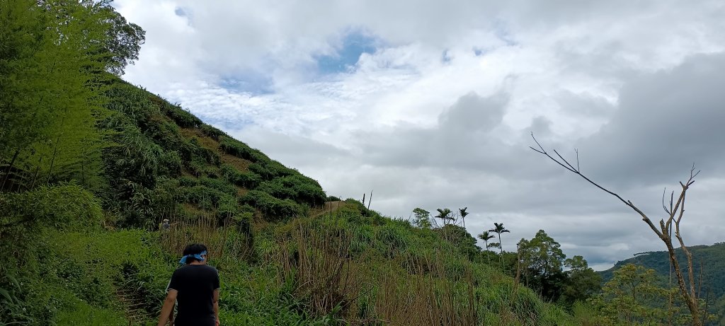 20220611_梨子腳山+太平山_1733253