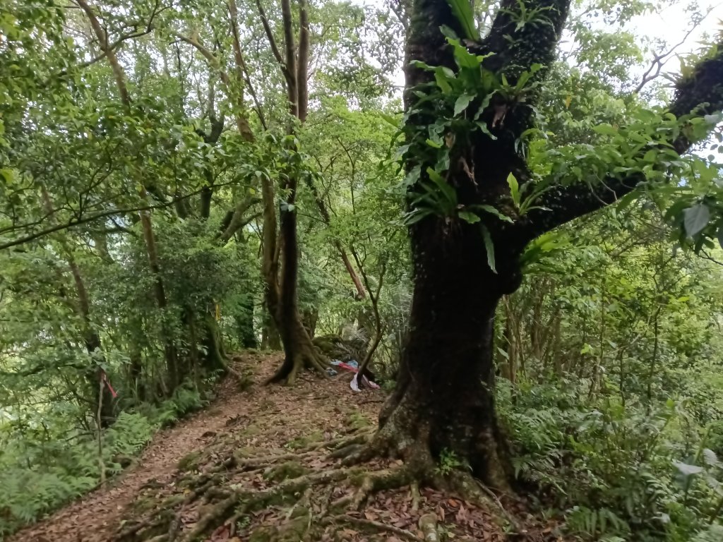 平溪區三功大厝+番子坑山+千階嶺步道O型_2781195