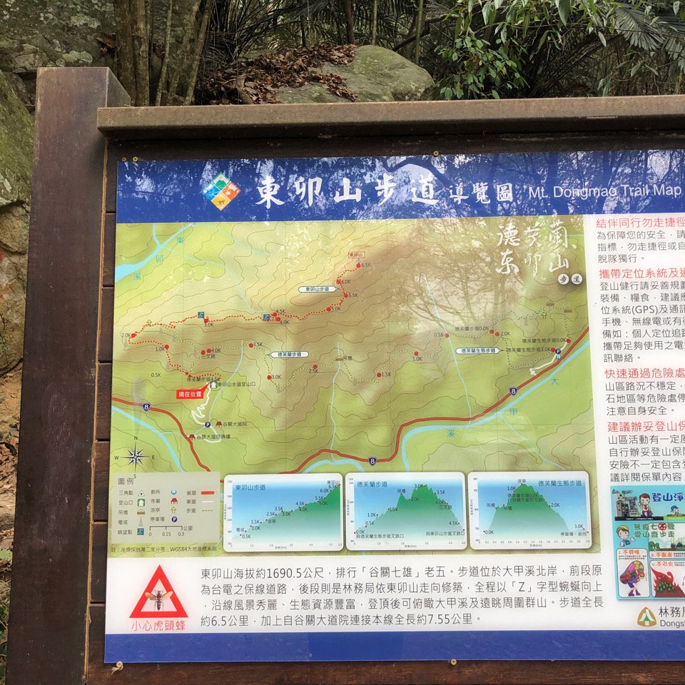 東卯山230322_2465324