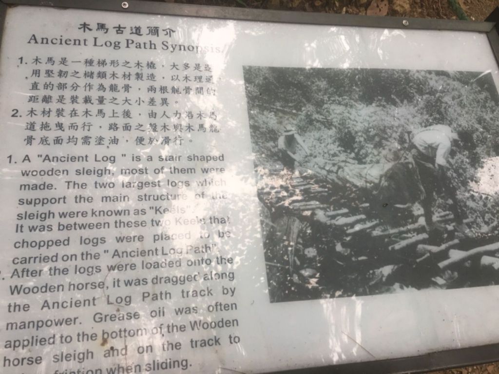 1070304谷關七雄老么～唐麻丹山_298003