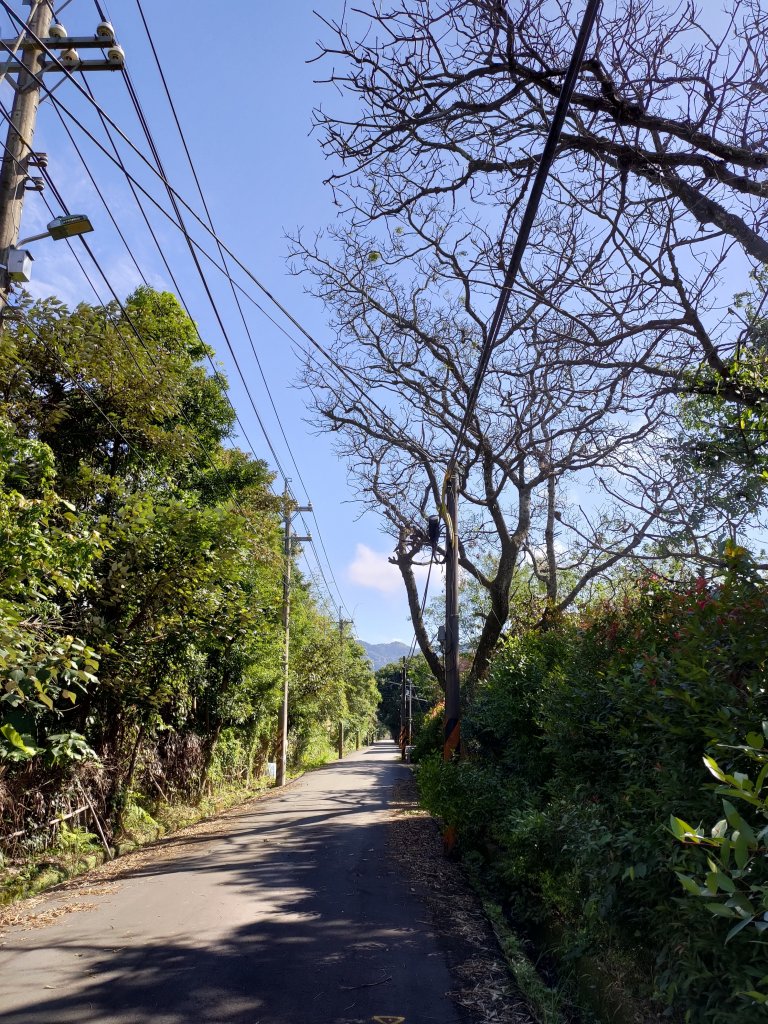 大溪小角仔-三層-尾寮崎古道-街口溪生態水岸步道_1719794