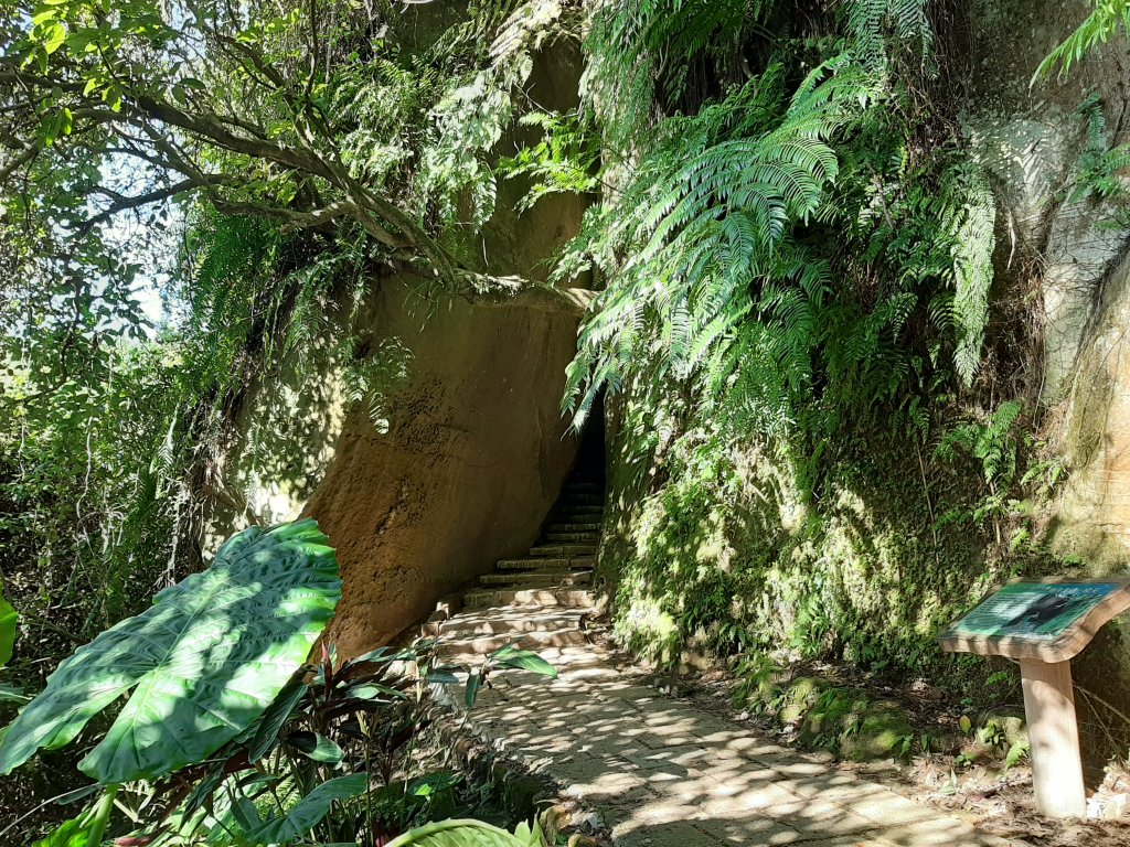 虎、豹、獅、象、九五峰、南港山、拇指山_1145234