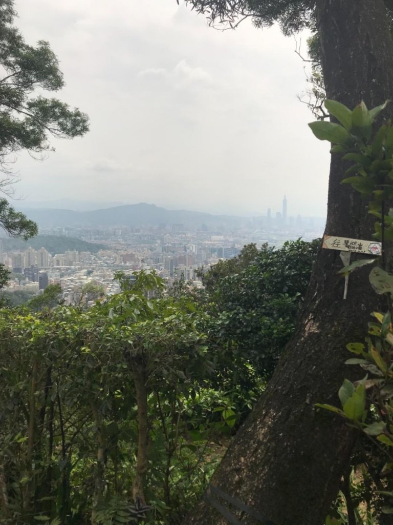 金面山、剪刀石108=0404_565898