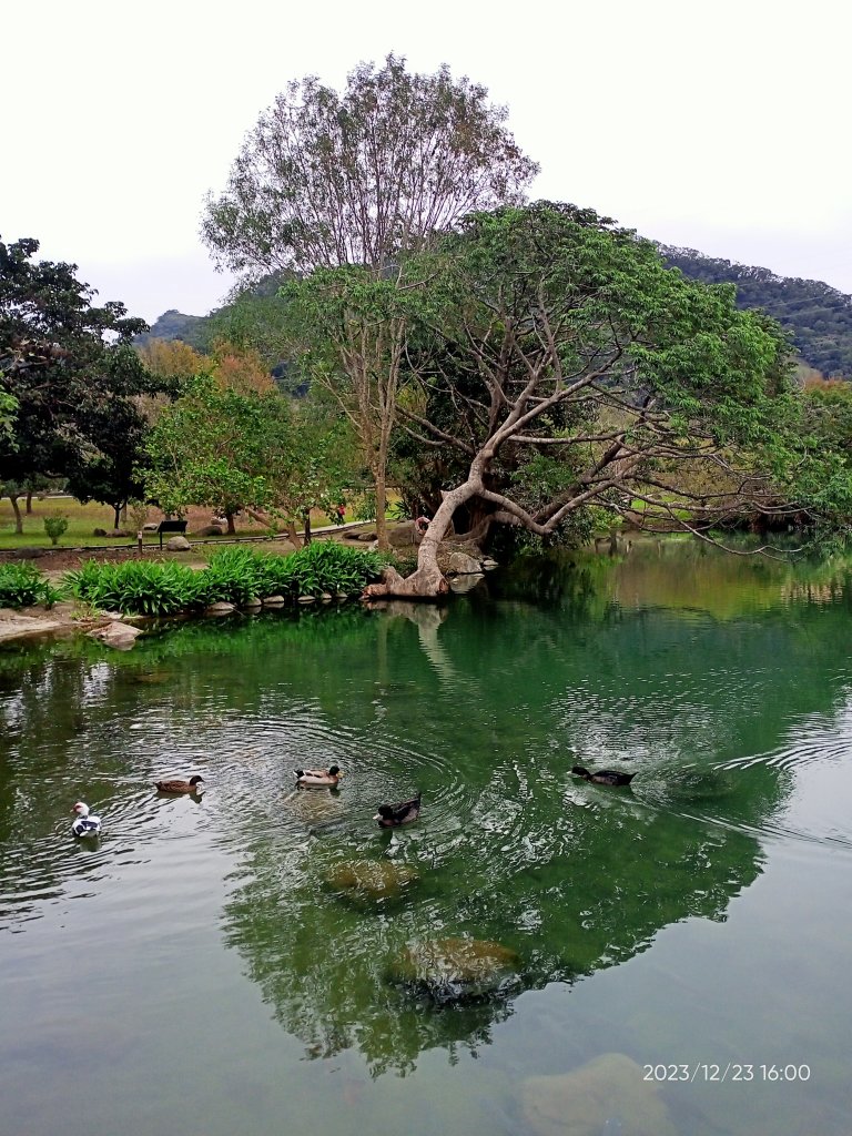 四訪苗栗的花果山-小百岳#037馬那邦山、雪霸國家公園管理處【小百岳集起來、苗栗-臺灣百大必訪步道】_2394379