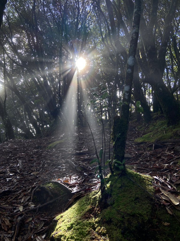 鳶嘴,捎來,橫嶺_1958505