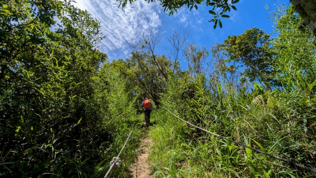 114.06.28內平林山-番子坑山-平湖森林遊樂區之O型_2824219