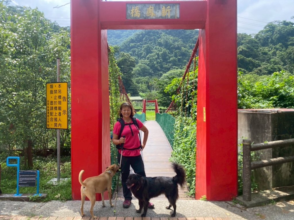 苗栗縣獅潭鄉鳴凰古道O型縱走_2803656