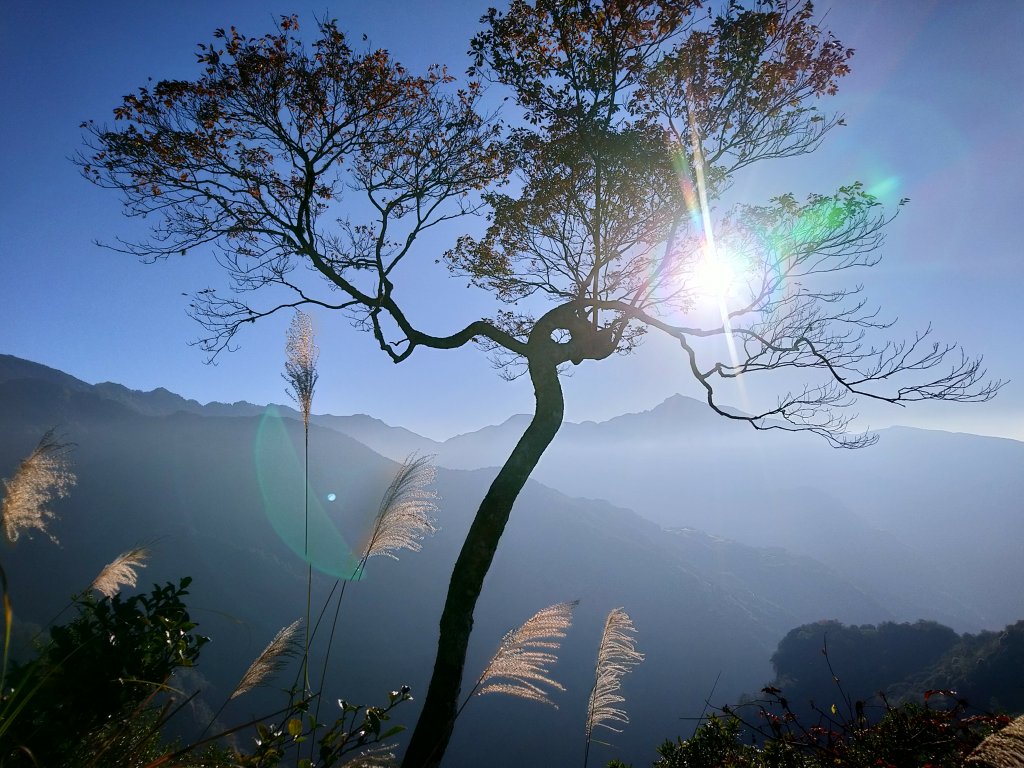 新竹天際線 比(南)比大鳥_1960475