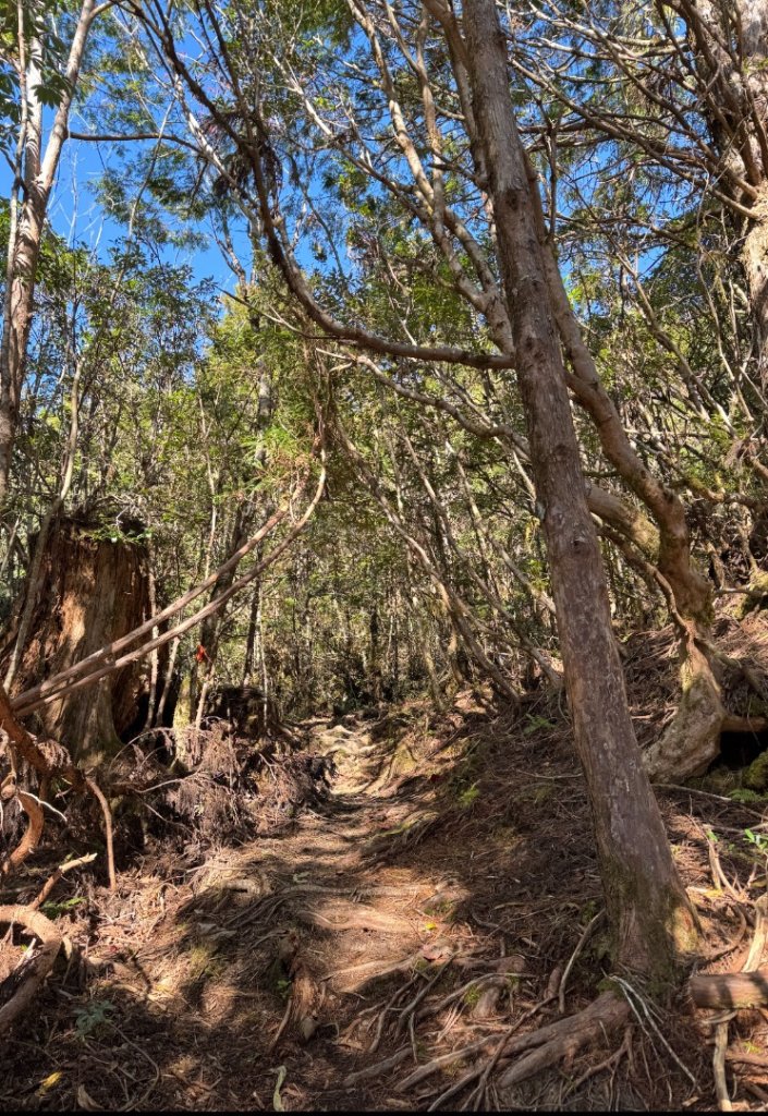 三星山(小百岳#85) 鳩之澤溫泉煮蛋趣_2953229