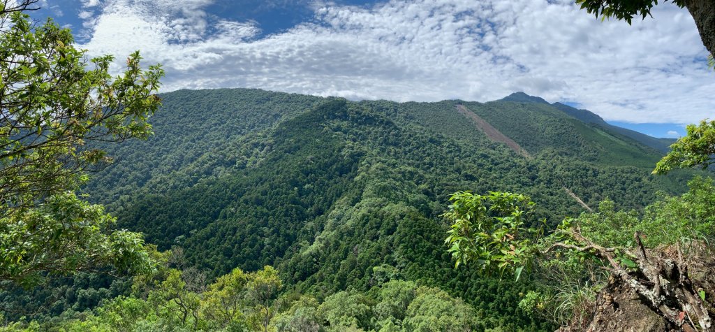 春谷養鱒場-小東河山北峰-小東河山-大龍山-南大龜山-光天高山-春谷養鱒場 O型 2021.6.30封面圖