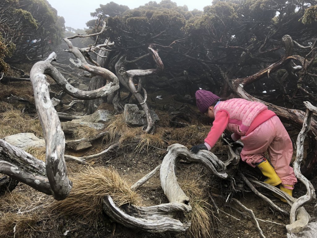 南湖群峰 - 孩子 使我們勇敢_563816