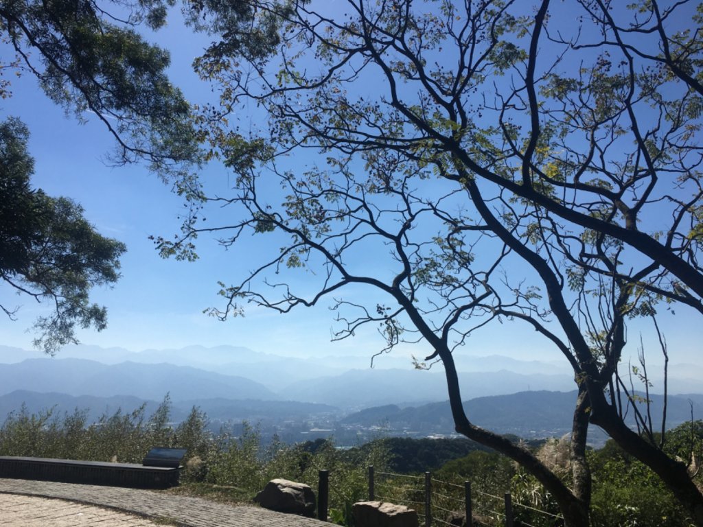 福源山步道、石雲森林步道封面圖