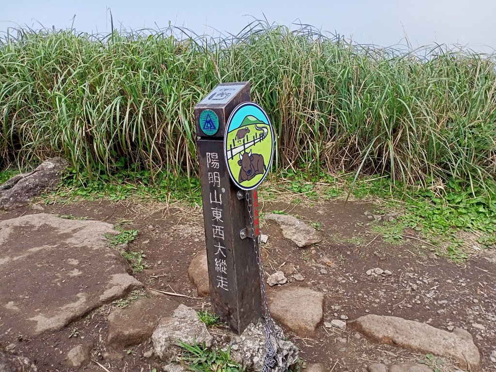 【臺北大縱走 3】小油坑→七星山主峰、東峰→冷水坑→冷擎步道→菁山吊橋→雞心崙→折返至冷水坑封面圖