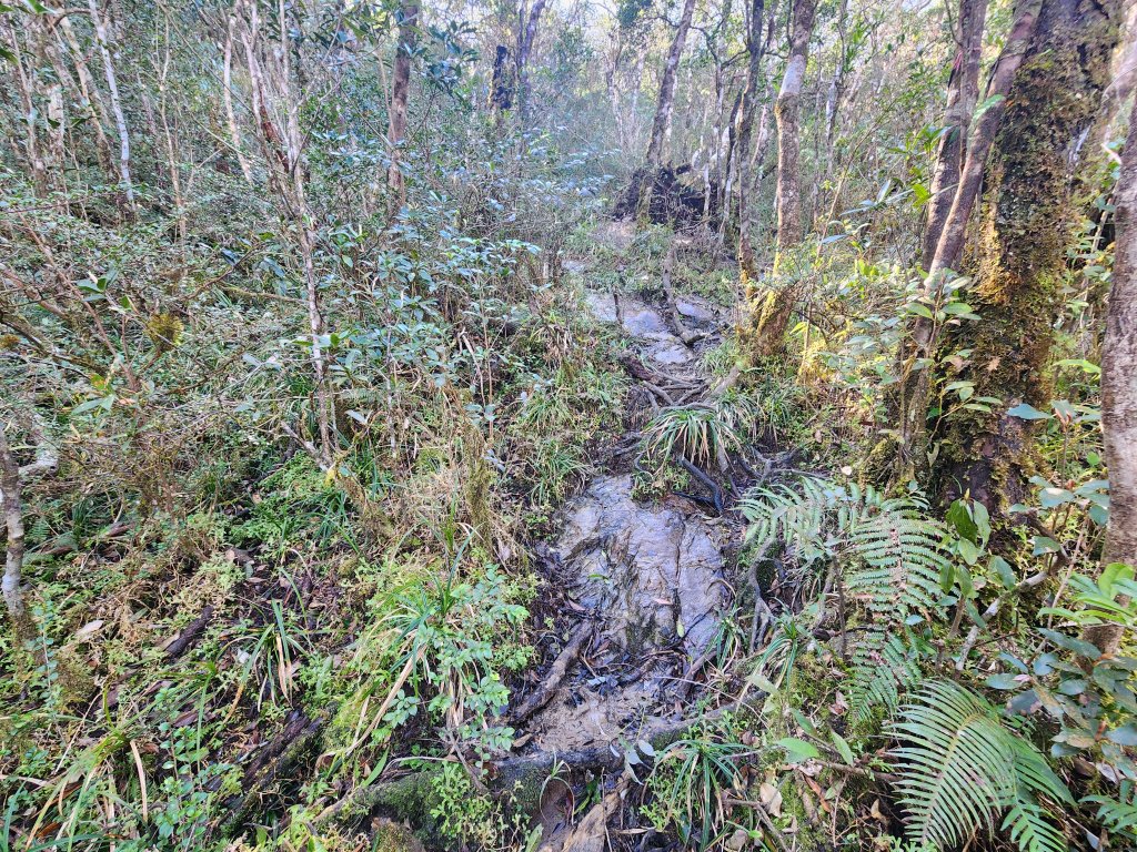 20250302樂佩山_2754734