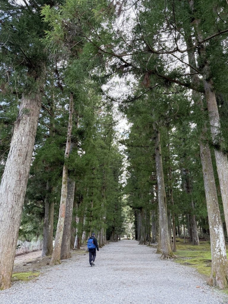 熊野古道中邊路D3 水上熊野古道 2025.3.18_2745961
