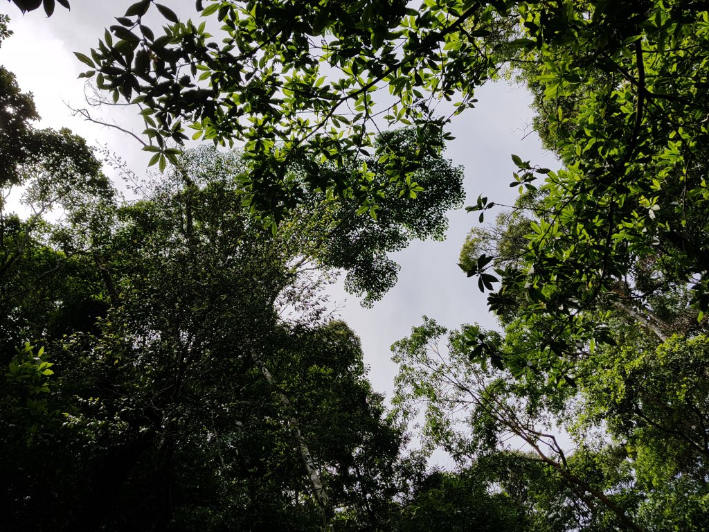 復興三尖之那結山_1423080