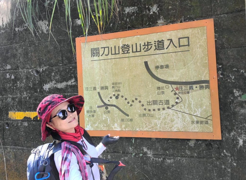 小百岳關刀山889m+銅鑼杭菊_1924010