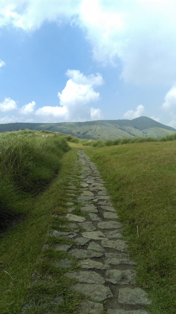 陽明山東段大縱走 105.08.21_57533