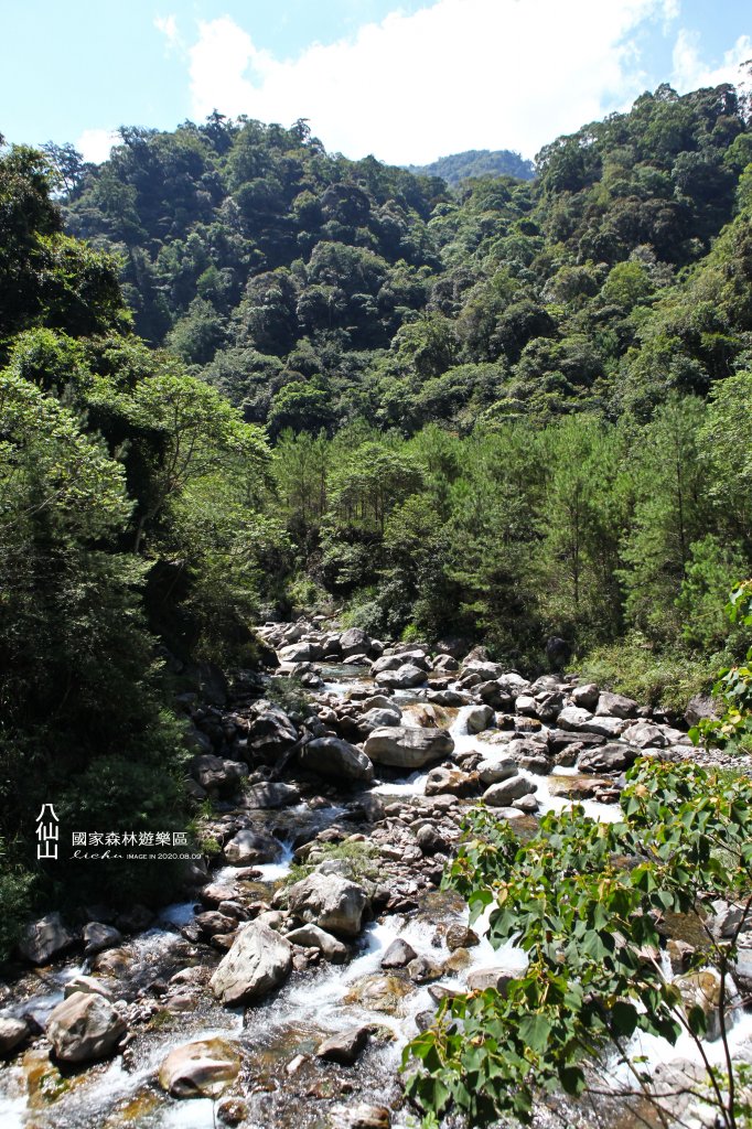 八仙山國家森林遊樂區_1066359