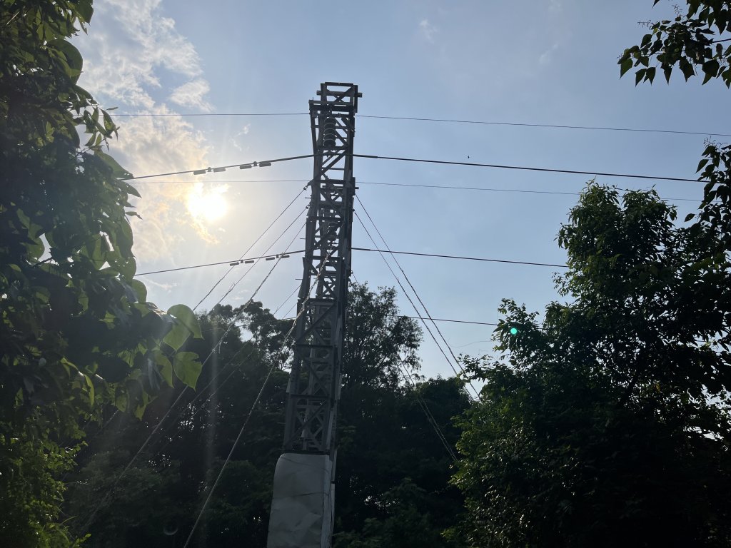 [百山百鳥尋旅-04/15] 2025_0817 龍過脈森林步道_2863365