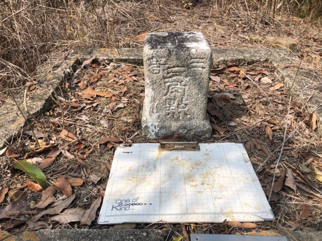 台南市楠西區爐芝潭山3-459_2115360