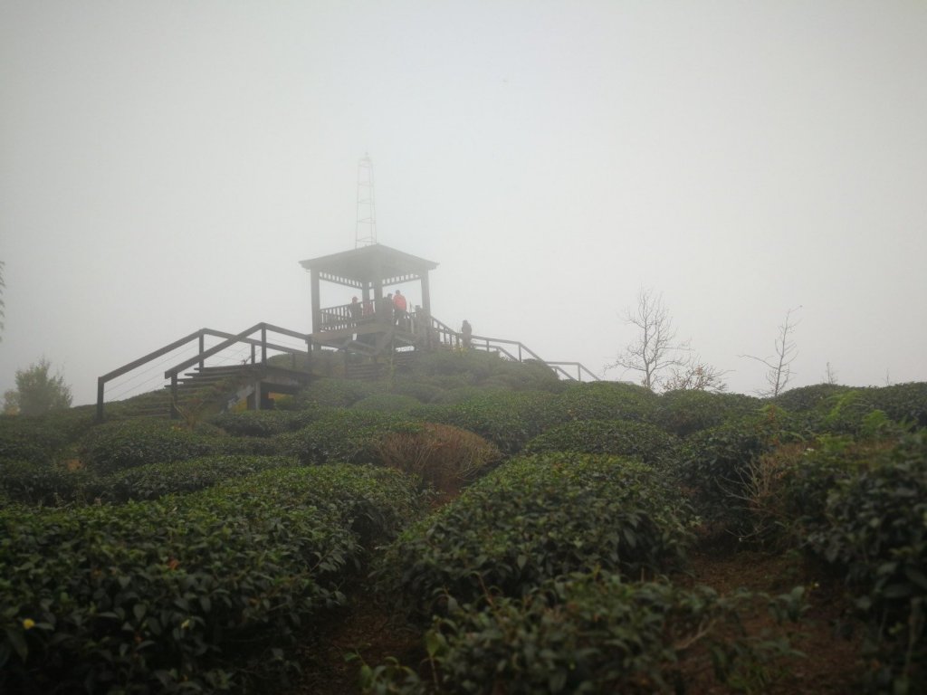 20190105雲霧中的大崙山武岫農圃_524353
