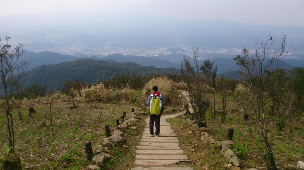 姜子寮山步道2016.01_48854