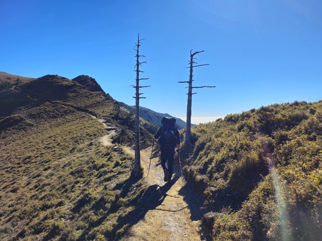 2024.02.13-16 新康橫斷_2438837