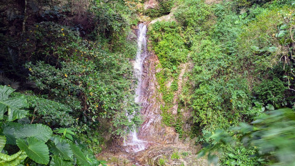 花蓮隨影_2667679