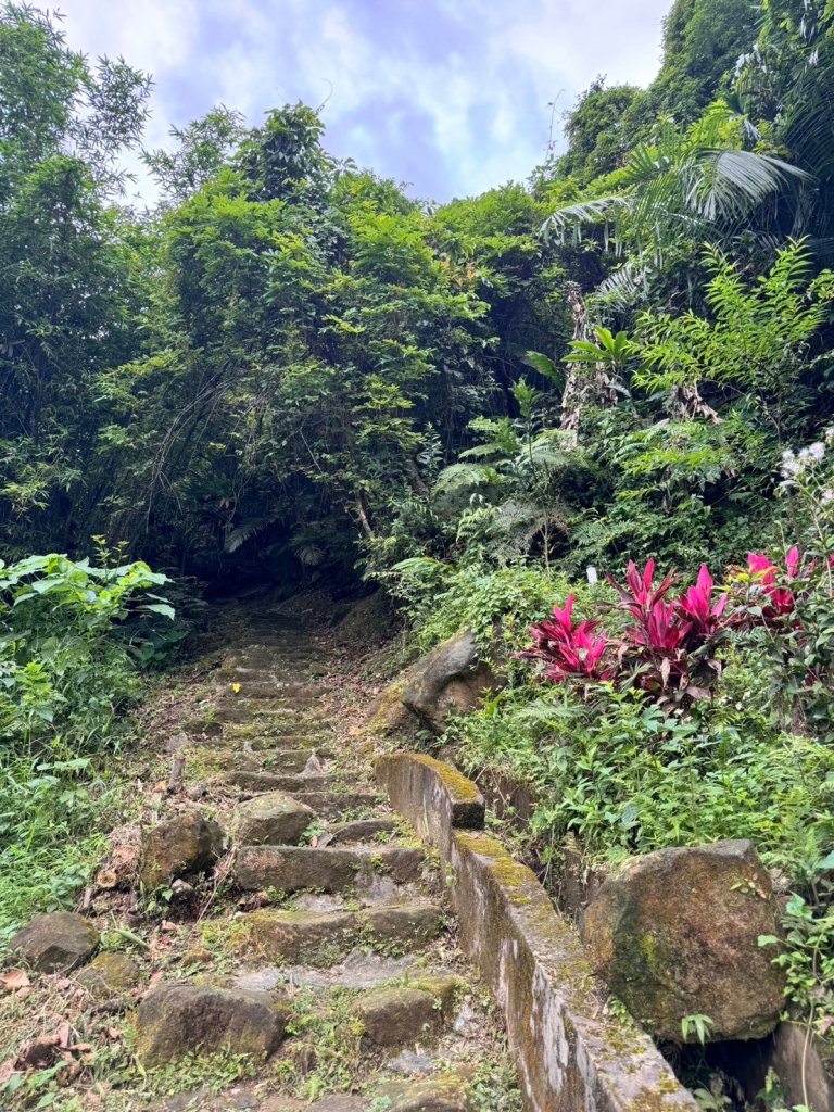 【新北】獅頭山(小獅山)步道_2512185