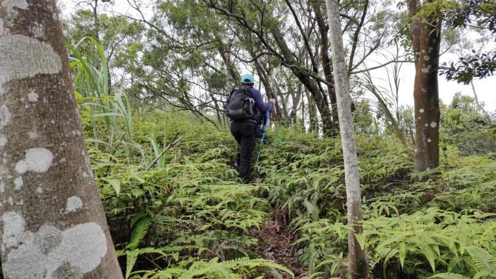 飛沙縱走33連峰2025年4月13日_2760320