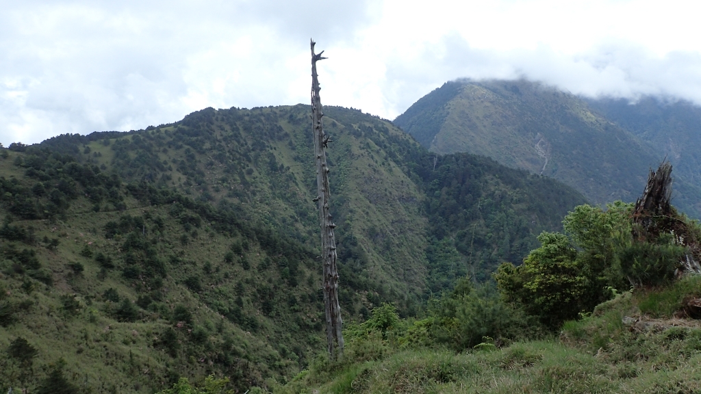 鹿林山與麟趾山O型走    來去賞玉山_57940