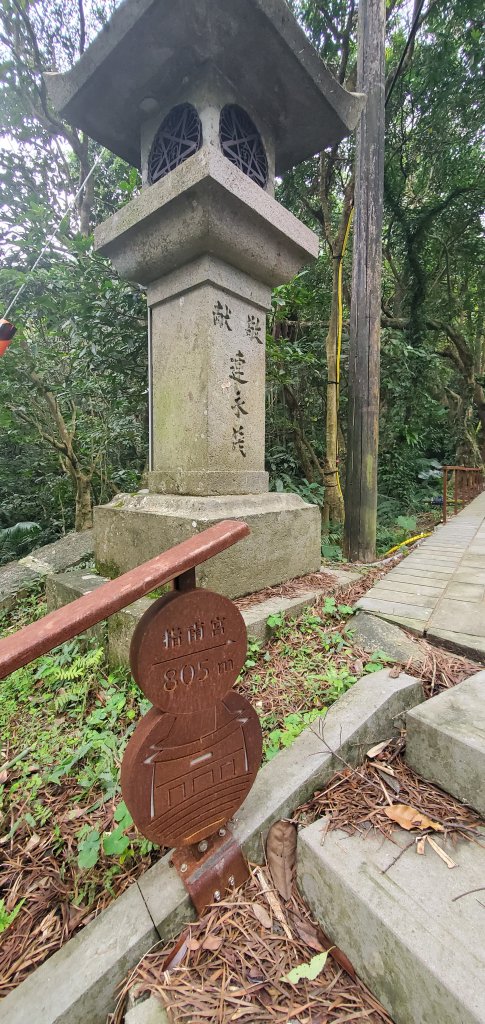 2024-12-14臺北大縱走第七段：世界山莊至飛龍步道政大後山_2669553